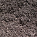 Aged Dark Blend Bark Mulch