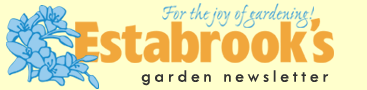 Estabrook's Newsletter