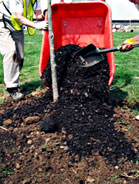 Fall Mulching