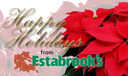 Happy Holidays