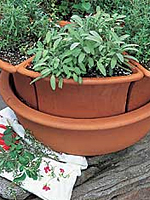 Herb Container