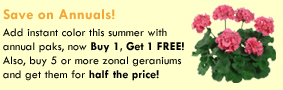 Save on Annuals!