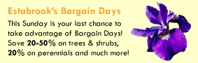 Estabrook's Bargain Days