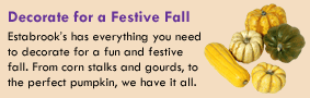 Decorate for a Festive Fall