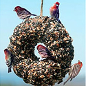 Birdie Wreath