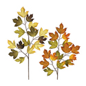 Fall Sprays