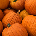 Pumpkins