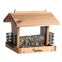 Audubon Feeder