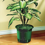 Self Watering Pots