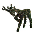 Reindeer Topiary