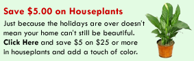 Save $5.00 on Houseplants