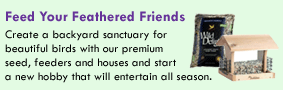 Feed Your Feathered Friends