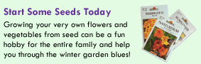 Start Some Seeds Today