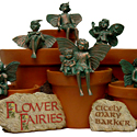 Fairies