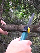 Pruning