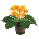 Spring Artificials