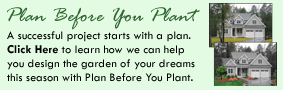 Plan Before You Plant