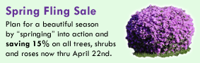 Spring Fling Sale
