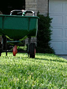 Lawn