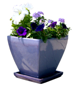 Spring Planter