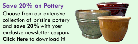Save 20% on Pottery