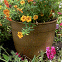 Ecosource Pottery