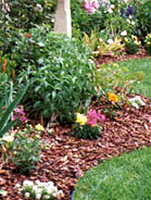 Mulched Bed