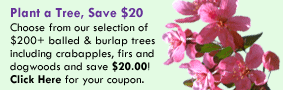 Plant a Tree, Save $20