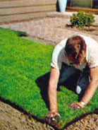 Sod Installation