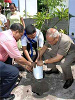 Tree planting
