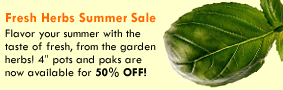 Fresh Herbs Summer Sale