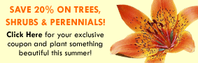 Save 20% on Trees, Shrubs and Perennials