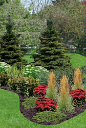 Plan Before You Plant Design