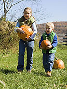 Pumpkin Patch