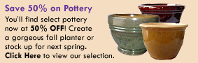 Save 50% on Pottery