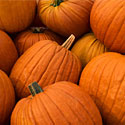 Pumpkins