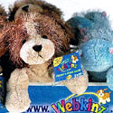 Webkinz