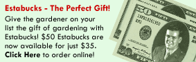 Estabucks - The Perfect Gift!