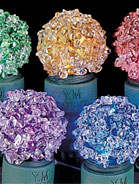 Sugar Drop LED Lights