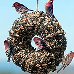 Pine Tree Farms Seed Wreath