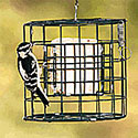 Suet Feeder