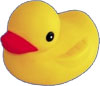 Yardscaping Duck