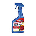 Bayer Rose & Flower Insect Control