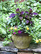 Pottery