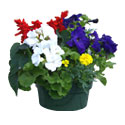 Memorial Planter
