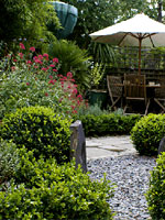 Low Maintenance Garden
