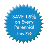 Save 15% on Every Perennial thru 7/6