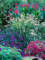 Summer Garden