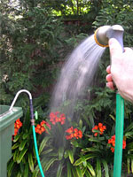 Watering
