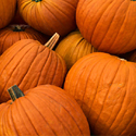 Pumpkins